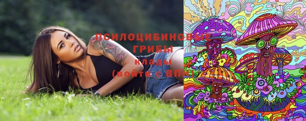 молекула духа Бугульма
