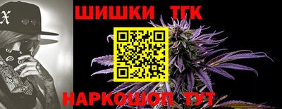 тгк Гусев