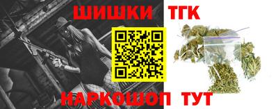 тгк Гусев